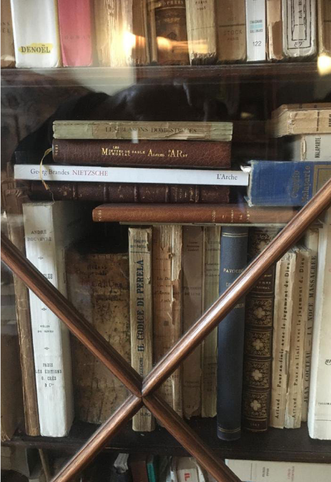 BIBLIOTHECA EUROPAEA
